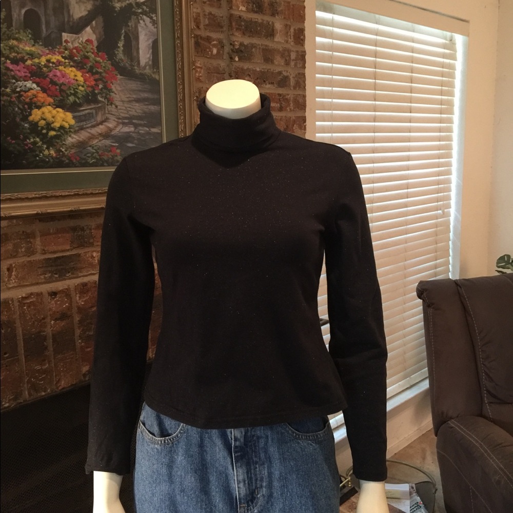 Express Sparkle Turtleneck